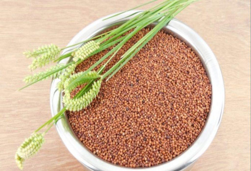 रागी के फायदे और नुकसान - Ragi (Finger Millet) Benefits and Side effects in Hindi